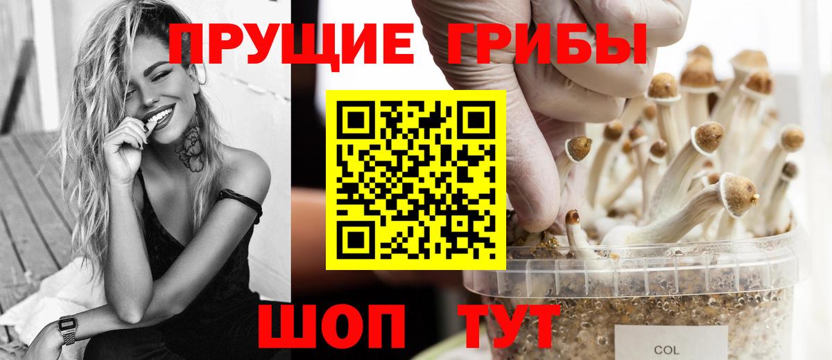 Галлюциногенные грибы MAGIC MUSHROOMS Саянск