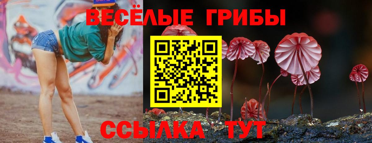 Галлюциногенные грибы Psilocybine cubensis  Галлюциногенные грибы MAGIC MUSHROOMS  Саянск  Вход с VPN 